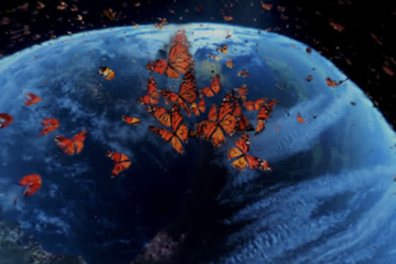 Universe preview